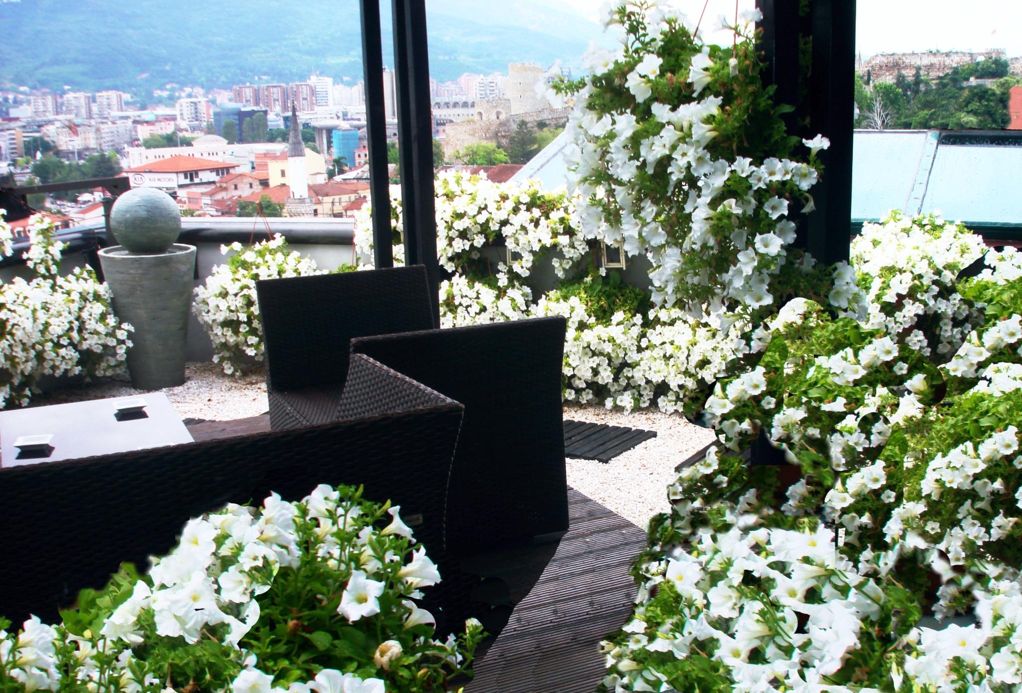 Hotel Arka Skopje Exterior photo The terrace of the restaurant